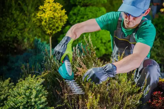landscaping services Mariemont